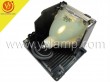 Canon LV-LP13 Projector Replacement Lamp