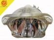 PHILIPS UHPW1.35E21.8 Replacement Projector Lamp