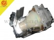 Replacement Projector Lamp LMP-D200 for VPL-DX10