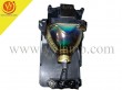 Replacement Projector Lamp LMP-H130 for VPL-HS50